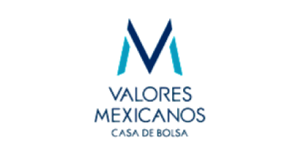 1logo.valoresmexicanos